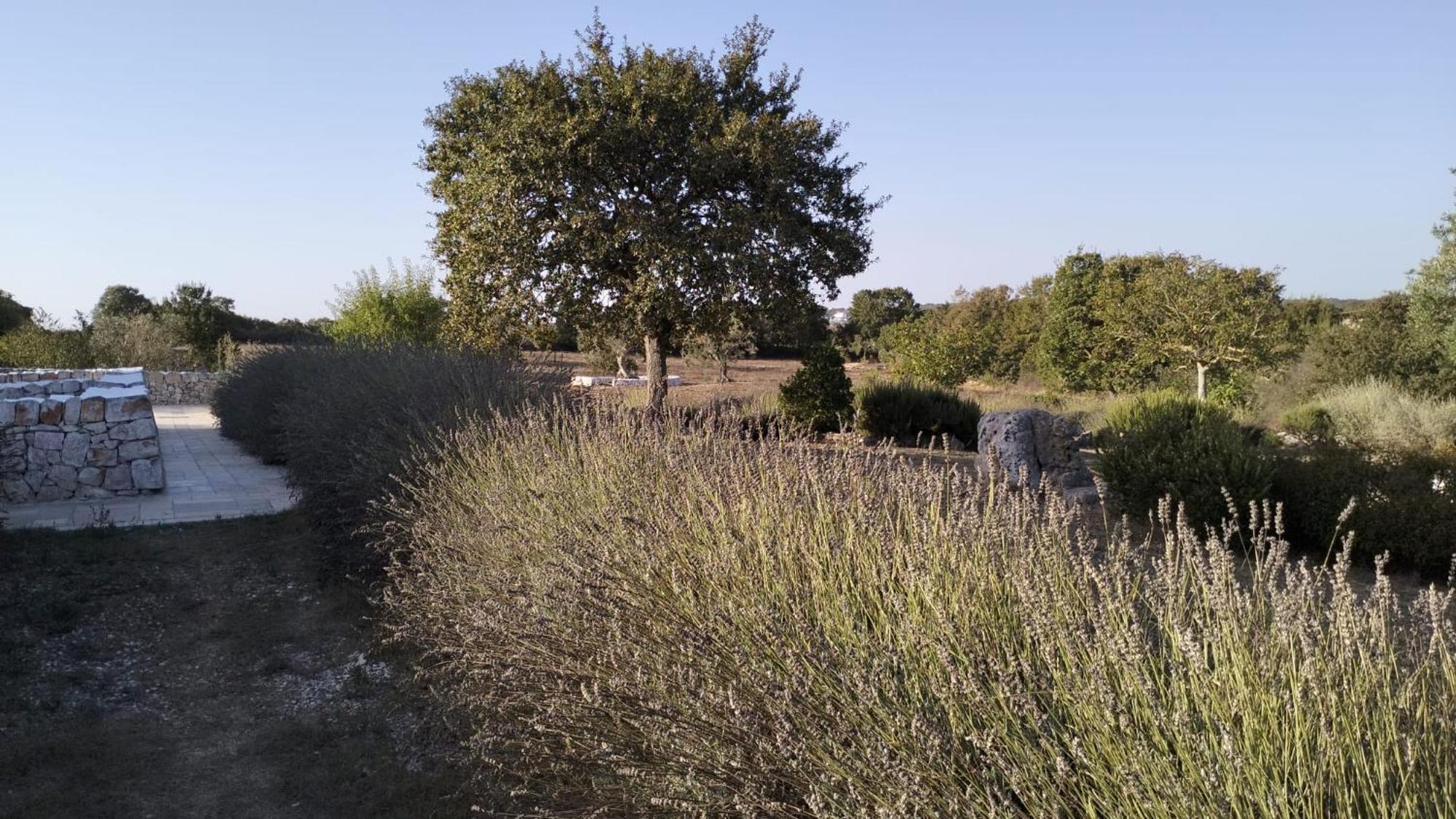 Trullo Dimora Podere Papilio Noci Luaran gambar