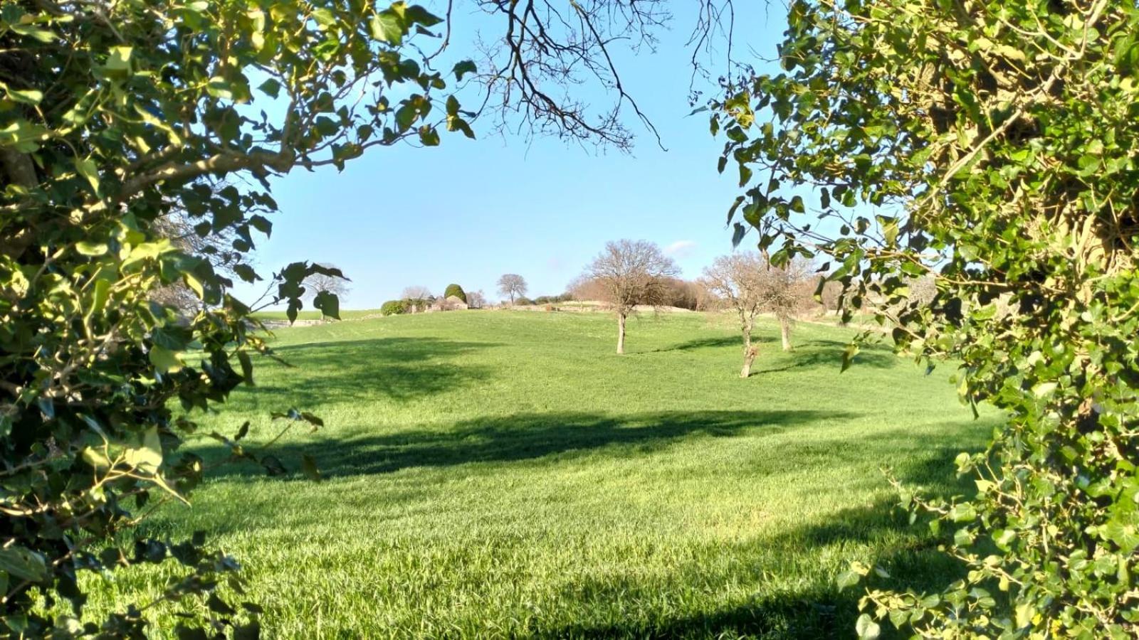 Trullo Dimora Podere Papilio Noci Luaran gambar